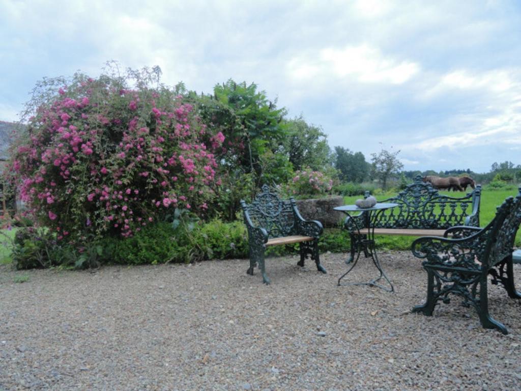 Manoir de la Branche Maen Roch Exterior foto