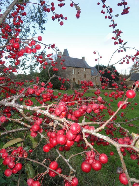 Manoir de la Branche Maen Roch Exterior foto